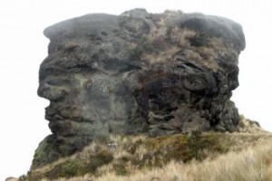 Bolarrumi